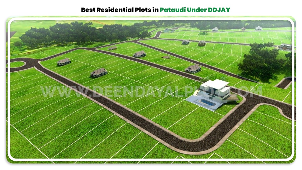 Plots in Pataudi